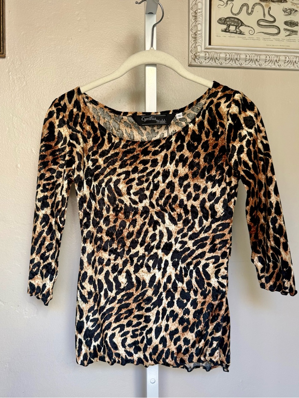 Vintage Velvet Leopard Print Scoop Neck Long Sleeve Top - Fitted but Stretchy S